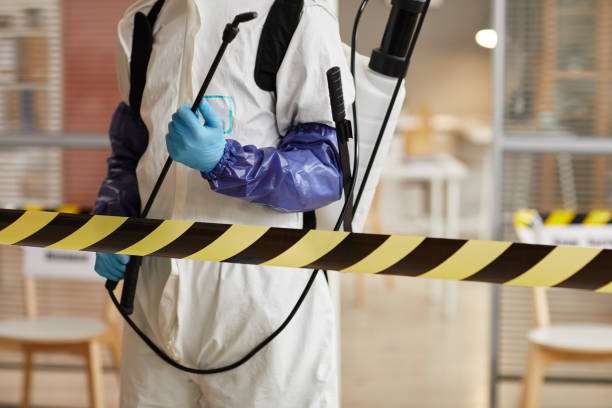 Professional Sewage Cleanup technician working in Saint Cloud, WI